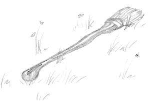 Drawing of a broom lying on the grassy ground.