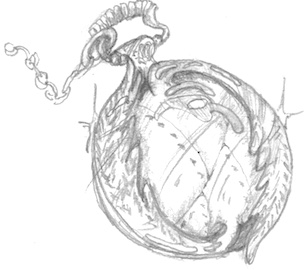 Drawing of a shiny pocket watch with wings curved around the sides of the case of it one upward one downward.