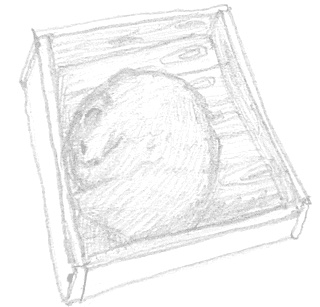 Drawing of a small bear-like creature in a wooden box.