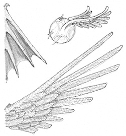 Drawing a bat wing in the top left corner, a bird-like wing in the lower right hand corner and a snitch flying in between.