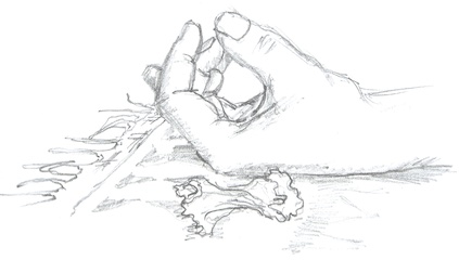 Drawing of a limp hand beside a candy wrapper lying at the edge of a rug fringe.